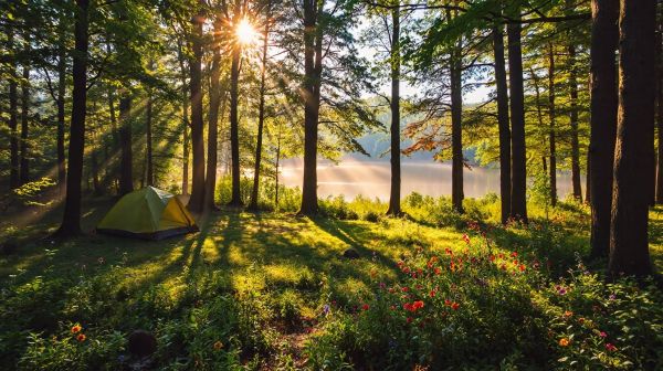 Top 10 campings écologiques pour s'évader en nature